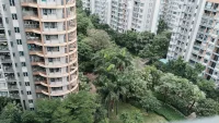一大早的鸟叫声

清脆悦耳

空气真好

这两天气候宜人，微风徐徐