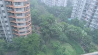 爆熱過后

一場久違的大雨傾盆而下

萬物得到了雨水的滋養(yǎng)

祝福你內(nèi)心會因為圖片中
的雨水得到片刻的寧靜

見字如面。祝君安好！配圖