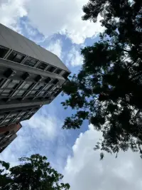 老師今天五點多醒來就出去散步了

現在天亮得都這么早的嗎？

好驚訝

看到小區里的清潔工人已經掃完樹葉

在一旁休息

那擦汗的模樣也遮擋不住嘴角的笑意

看吧

快樂很容易

所以，看看你的手心抓住了什么？

試試放開手，有收獲記得回來找老師分享配圖