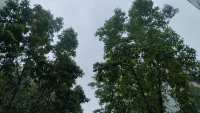 我的城市在下雨

你那里呢？

之前說風里雨里

我在等你

今天趕上了，哈哈～(￣▽￣～)~

雨中人的意境畫面很不錯

分享給大家
