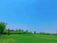 真正的倾听，不是急着给答案，而是带着心，走进你的故事里。在这里，没有评判，只有理解。你只需安心地说，我会专注地听。