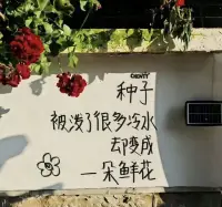 “向前看，不要回头，只要你勇于面对，抬起头来，就会发现，少数的阴霭不过是短暂的雨季。”