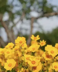 我们总是在追逐远方的风景，却忘了脚下的路也开满了花。