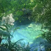 把忧愁全摒弃，腾出空间装自愈。