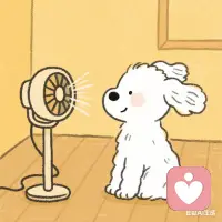 你的情緒不必總是整齊漂亮，那些碎裂的、混亂的、說不清道不明的部分，都值得被接納。配圖