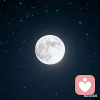 我收集故事，像星星收集光芒。你的每一個字，都會被我妥帖安放。配圖