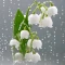 菠萝