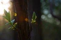 《心靈的成長》：
我們的青春轉瞬即逝，歲月會在我們的容顏上留下痕跡，但我們可以讓內心在歲月中磨礪，如同蚌中的沙，逐漸變得光潤。
人生不如意事十之八九，世界不會圍著我們轉，所以不要過于執著于擁有，學會付出、微笑面對、懂得感恩，才能收獲幸福。
要相信世上有美好堅貞的愛情，但也要明白，我們不僅需要愛情，更需要身心健康。
珍惜身邊精神富有的朋友，他們能陪你一起奔跑，帶你領略寬闊的心理世界。配圖