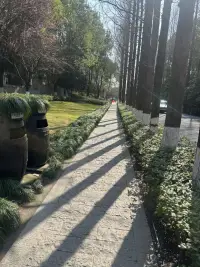 人对时间毫无还手之力