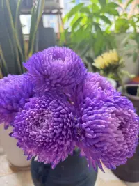年少的時候，好像挺羨慕轟轟烈烈的人生的，那時候喜歡看《還珠格格》，如今，方覺歲月靜好才是常態(tài)，也是生活的一種美好與幸福。配圖