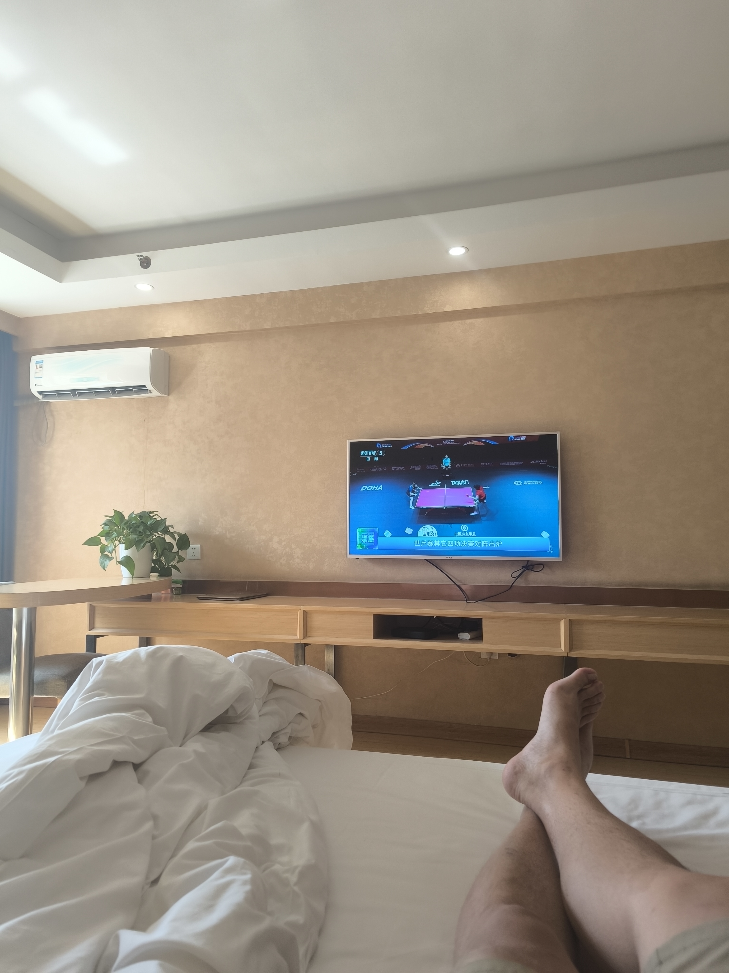 思雨的回答图片