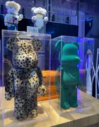 情之所系，心向往之