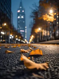 把未說出口的話埋進(jìn)眼底，
多年后凝結(jié)成琥珀。
每一道舊傷痕都在皮下生長，
輕輕一碰，就溢出當(dāng)年的月光。配圖