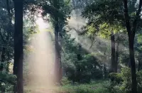 什么才是真正的愛自己？

真正的愛自己意味著關注自身的需求、感受和成長，以下是一些具體表現(xiàn)：

關注身心健康
- 照顧身體：保持健康的生活方式，包括合理飲食、充足睡眠和適度運動。同時，定期進行體檢，及時處理身體不適，不忽視身體發(fā)出的信號。
- 呵護心靈：重視自己的情緒和心理狀態(tài)，學會應對壓力和負面情緒。可以通過冥想、閱讀、與朋友傾訴等方式來緩解焦慮，保持內(nèi)心的平靜和平衡。

了解并接納自己
- 認識自我：花時間了解自己的優(yōu)點、缺點、興趣愛好及價值觀，明確自己的人生目標和追求，這有助于更好地規(guī)劃生活，做出符合自身需求的選擇。
- 接納自我：接受自己的不完美，包括自己的外貌、性格、過去的經(jīng)歷等。不因為自己的不足而自我否定，而是以寬容和理解的態(tài)度對待自己，相信自己有改變和成長的能力。設定邊界并尊重自己
- 建立邊界：學會拒絕他人的不合理要求，保護自己的時間、精力和情感空間。明確自己能接受和不能接受的行為，不輕易為了迎合他人而犧牲自己的利益和感受。
- 尊重自我：尊重自己的感受和決定，不隨波逐流。當自己的想法與他人不同時，敢于表達并堅持自己的觀點，同時也尊重他人的意見，在兩者之間找到平衡。

追求個人成長與幸福
- 自我提升：不斷學習新知識、新技能，提升自己的能力和素質，以實現(xiàn)個人價值和職業(yè)發(fā)展。可以通過參加培訓課程、閱讀書籍、實踐鍛煉等方式來豐富自己，拓寬視野。
- 享受生活：給自己留出時間來做喜歡的事情，如旅行、繪畫、聽音樂等，讓自己在生活中找到樂趣和滿足感，不總是為了他人或工作而忙碌，要把自己的幸福放在重要位置。配圖