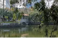 找回婚姻的初心

在吵吵闹闹的婚姻中找回初心，就像在暴风雨的海面上重新校准指南针——需要勇气、智慧和一点温柔的固执：
1. 按下暂停键，回到第一个拥抱
动作练习：下次争吵到喉咙发紧时，突然说：“我们能不能先抱一下？就像婚礼那天一样。（即使对方拒绝，这个停顿本身就能松动情绪的冻土）
心理学依据：触觉记忆比语言记忆更古老，拥抱20秒能促进催产素分泌，这是最初让你们相互吸引的荷尔蒙。
2. 制作战争地图里的绿洲
找本相册，把手机里吵架时拍的愤怒截图（如果有）和蜜月照片并列粘贴，在每张冲突照片旁边写：
这次我们为什么而战？
战利品是什么？（得到了理解/发泄/后悔？）
如果穿越回初遇时，我会怎么看待这场争吵？
效果：视觉对比会暴露一个真相——多数争吵像沙滩上的字，潮汐（时间）一来就淡去，而你们在夕阳里并肩的剪影才是岸边的礁石。
3. 发明你们的反讽仪式
当习惯性争吵模式启动时（比如为挤牙膏方式冷战），突然用夸张表演重现争吵：
单膝跪地举着牙膏：尊敬的陛下，今日臣妾是该从中间挤还是末尾挤？请赐圣旨！
原理：幽默感是婚姻的防弹衣，当你们能共同嘲笑自己的固执，火药味就变成了烟花。
4. 在午夜厨房找回结盟感
挑个失眠的深夜，一起做件具体的事：
煮泡面时他负责打蛋你切葱花
拼网购的储物架时他看说明书你递工具
深意：共同完成微小任务时产生的默契，会唤醒远古时期人类协作狩猎时的信任感——这正是婚姻最初的功能之一。
5. 定期举行关系考古
每月选一天，用考古学家的态度研究婚姻：
发掘层：各自写下最近最伤心的时刻+最温暖的瞬间
鉴定层：交换纸条，不辩解只复述对方的话：我听到你觉得...对吗？
修复层：共同选个象征物（一颗纽扣/电影票根）放进时间胶囊盒
结果：这个盒子会成为你们的关系博物馆，证明每次冲突都是展品而非终点。
6. 重走爱情地理
吵架后去你们第一次约会的地方坐坐，带两样东西：
他当年送你现在已枯萎的干花
现在各自手机里最常刷的内容截图
魔法时刻：当过去的纯真与当下的复杂同时摆在面前，你们会发现自己对抗的不是对方，而是时间带来的陌生感。
婚姻像一本被生活揉皱的书，找回初心不是要抚平所有褶皱，而是学会在那些折痕里读出比平整时更丰富的故事。真正的初心不是没有冲突的完美，而是每次冲突后仍能认出彼此眼睛里的星光。