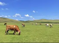 为什么要善良友好热爱的对待自己。是因为自己是世界上独一无二的生命体，拥有各种奇妙的可能 一旦有机会排除万难也要为世界做点什么，值得自己和他人创造美好生活的事。