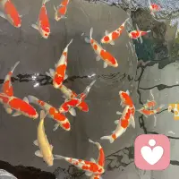 關于因果，凡是勸不動的，攔不住的，那就是命。但凡有一個人，拼死都不聽勸，那說明這條彎路他必須走，有些劫，他必須經歷。你不允許別人受苦時，就是在逆天行道，所以有時請放下助人情節，尊重他人命運。

關于福報，如果你心眼好，又有德行，那你一定有福報，如果有福報卻發不了財，請不要疑感，是你的福報轉化成了健康的身體、平安的日子，溫暖的家庭和有良德的子孫，福報不一定讓你很有錢，但一定會讓你成為最圓滿的自己。配圖