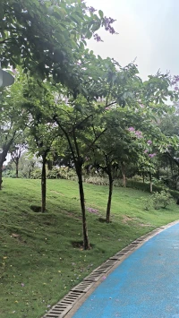 愿生活，福澤深厚，如春日暖陽，溫柔相伴。在歲月的長河中，能始終堅守內心的本真，不被世俗紛擾。無論身處何方，都能感受到福運環繞，以最真實的姿態，擁抱每一個燦爛的明天，收獲滿滿的幸福與快樂。配圖