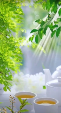 清晨，陽光透過枝葉灑落，似在溫柔問候。愿你如這杯中香茗，在新的一天，沉淀內心，散發芬芳。于自然綠意間汲取力量，開啟活力滿滿的旅程，所遇皆美好，萬事皆順心。配圖