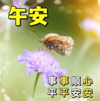 午安！愿你在這個美好的日子里，事事順心，平平安安。隨聽你……配圖