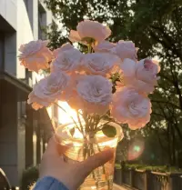 当环境无法改变，当结果无法改变时，唯有改变自己的心态，接受上天的所有安排，才能救自己于水火