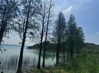 生活偶爾酸澀，但別怕，你的善良、努力都被默默記著，美好正在悄悄靠近你。配圖