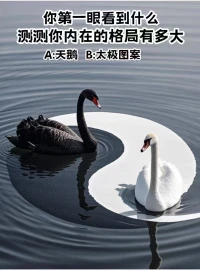 今天下午公布答案！?。?！歡迎大家加入進來可以給我留言配圖