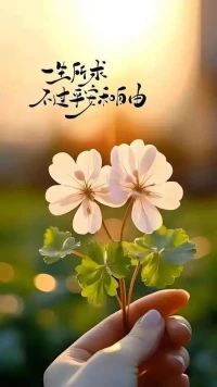 今天是6月12日，農歷五月十七，星期四，早安。人這一生，不可能每一步都走得對。所以啊，別總回頭看，更別苛責那個曾經的自己。你要明白，走過的每一步，遇見的每個人留下的每份遺憾，其實，都是生命的必經之路。對錯，不由心；聚散，不由人。得失成敗，不過是修行。這一程山水，愿我們各自安好，也，各自珍重。#早安配圖