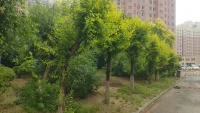 今天是6月15日，農歷五月二十，星期日，早安。父親，或許很平凡，卻用沉默，撐起整個家。他的愛，不在言語里，卻重如山，穩如岸。所謂父母子女一場，不止是漸行漸遠的別離，更是且行且珍惜的修行。親愛的爸爸，你陪我長大，我陪你變老。唯愿時光慢些走，歲月多些停留。在這個特別的日子里，愿全天下的父親，喜樂相伴，安康永隨。#早安#父親節配圖