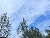 今天是7月4日，農歷六月初十，星期五，早安。別因為一句不在意的話，就否定了整天的心情。人這一生，總會聽到不合時宜的聲音，遇到不懂珍惜的人。可你要記得，天上只有一個月亮，人間也只有一個你。慢一點也沒關系，哪怕日子重復，也請你認真生活，在疲憊里找一點溫柔，在孤單時，給自己一個擁抱。愿你把今天過得浪漫一點，哪怕只是喝下一杯喜歡的茶，都值得被稱作幸福。#早安配圖