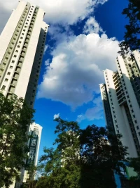 人只有承认自己无法掌控一切时，才能释放真正的生命力。改变的自由仅限于接受命运的结果。‌‌