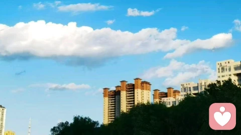 生命的觉醒之旅