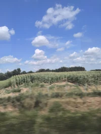 今天是8月8日，星期五，早安，人間風雨各處有，何處不是浪浪山，或許山的那邊還是山，路的盡頭還有路，我們翻山越嶺、跋山涉水不只是為了到達終點，還為了在那些途中遇見自己，遇見自己找到了幸福，勇敢而美好的自己。#浪浪山#早安配圖