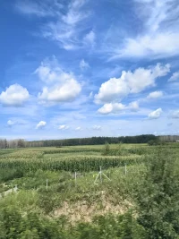 今天是8月12日，農歷六月十九，星期二，早晚安，別拿別人的尺子，量自己的人生。開心就笑，累了就歇；把力氣，留給值得的事。得之坦然，失之淡然。愿你今日歡喜，萬事有著落。配圖