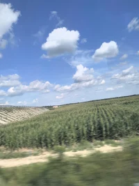 早上好，今天是8月22日，星期五，生活，說(shuō)到底，就是學(xué)會(huì)哄哄自己，心小了，小事都會(huì)變大；心大了，大事也會(huì)變小，把心安頓好，把自己勸明白，一切都會(huì)豁達(dá)通透，迎刃而解。#早安配圖