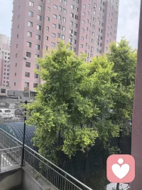 如何做一个不被孩子讨厌智慧的妈妈。第一步首先要看见孩子尊重孩子。感受孩子的感受。好好听孩子说话，管住自己的嘴，不分别不评判，不贴标签。说事实，谈自己的感受。第2部。放手。孩子是一个独立的个体，给他足够的时间和空间，让她自由的绽放，让他有自己的空间，让他自己做自己让花成花让树成树。第三步。自己学习成长成为孩子的引路人，控制好自己的情绪，掌握育儿知识，成为懂孩子的那个人。每个孩子都是天使，他是来教会我们唤醒我们，让我们自己做自己，让我们变得更加强大更自由。更富足，更健康。好好爱你的孩子吧！因为她比你爱她，她更爱你。他想看到你成长，看到你懂他。加油天下所有的父母们。配图