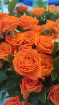 被花花治愈的我
生活或許很難
但也要開心面對配圖
