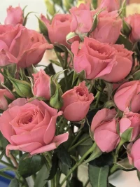 被花花治愈的我
生活或許很難
但也要開心面對配圖