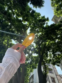 ?? 早安，今天也請記得——你的感受值得被傾聽，就像晨露值得被陽光溫柔接住。配圖