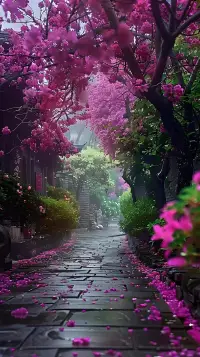 慢慢来，花会沿途盛开，你也是。