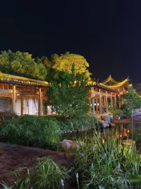 生活像一本書，不必急于翻到最后找答案，每一頁的坎坷與溫柔，都是命運精心準備的伏筆。配圖