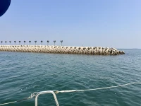 浪漫藏匿于大海，一起看海就是共享心跳配圖