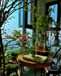 生活美好，有風(fēng)有樹(shù)。聽(tīng)老歌，偶爾惆悵。想想過(guò)往，云煙隨風(fēng)。不驕不躁，不爭(zhēng)不搶，心地善良！！！配圖