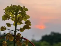 把溫柔留給了陌生人，卻把傷痕埋在了內心深處。
世界紀錄痕跡，時間淡忘一切。配圖