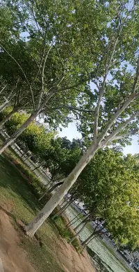 我始終相信 所走之路 所經之事 所遇之人 所留之遺憾 都是應該經歷的 對錯不由人 聚散不由人 不必難過 山水一程 各安天命配圖