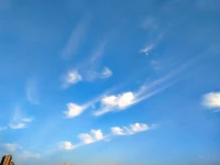 無(wú)需濾鏡隨手一拍都是風(fēng)景配圖