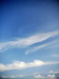 善待自己，不被別人左右，也不去左右別人，自信優雅。配圖