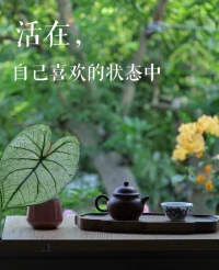 愛(ài)自己配圖