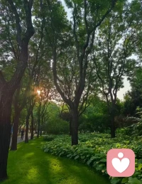 早晨，一天里最舒服的時候。早晨的公園，很治愈。
美好的一天開始了。配圖