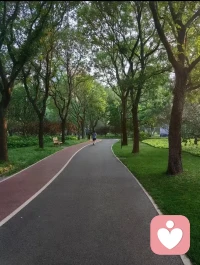 早晨，一天里最舒服的時候。早晨的公園，很治愈。
美好的一天開始了。配圖